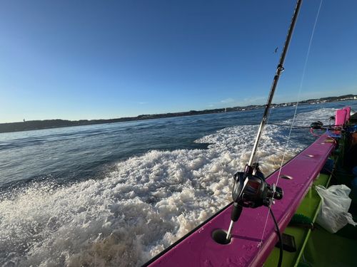 タチウオの釣果