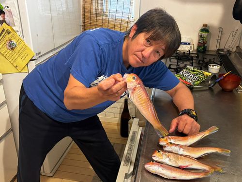 アマダイの釣果