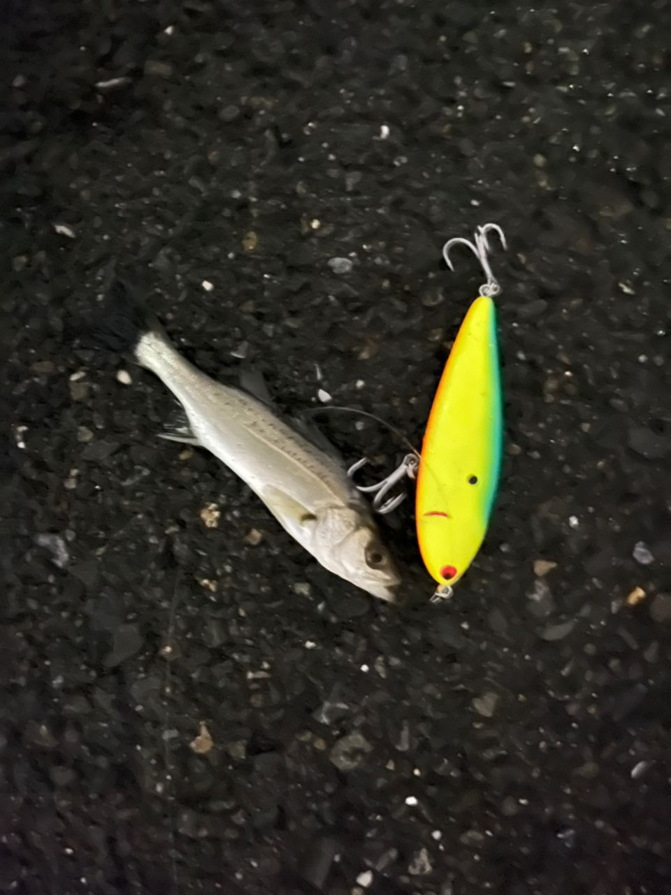 DAIWA 21ラブラックス AGS 96MHの最安値・インプレ・釣果 | 本音