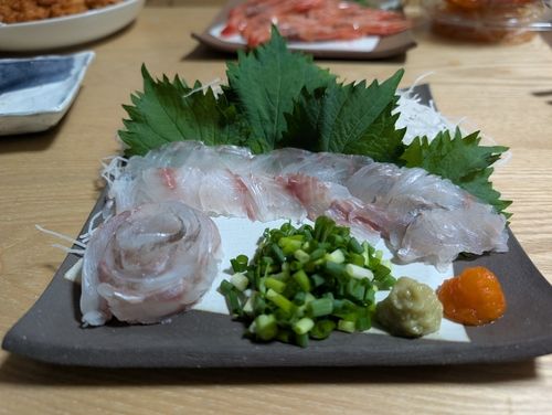 イシモチの釣果