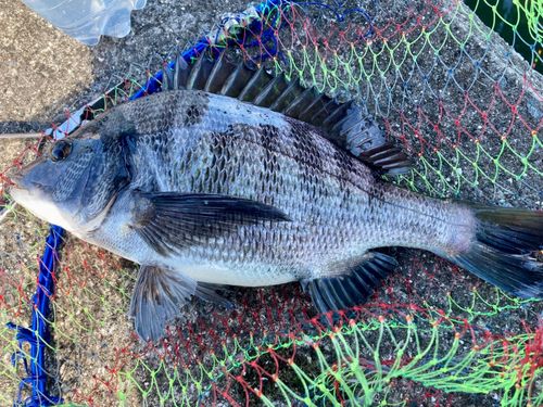 東部浄化センター（広島市）