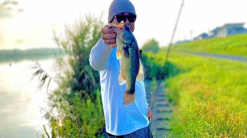 ラージマウスバスの釣果