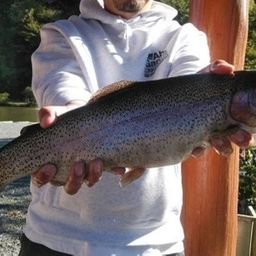 トラウトサーモン