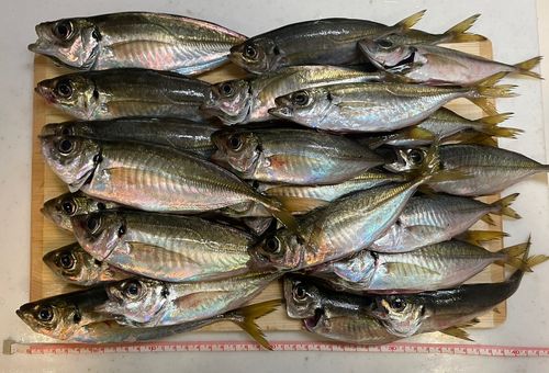 本牧海づり施設