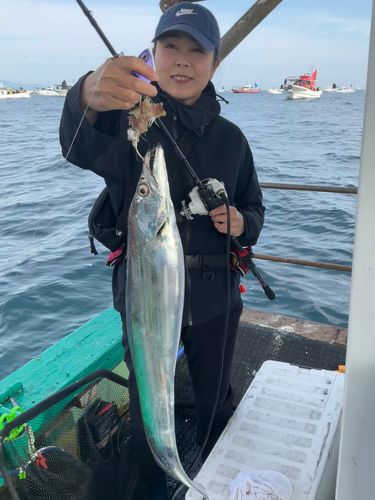 タチウオの釣果