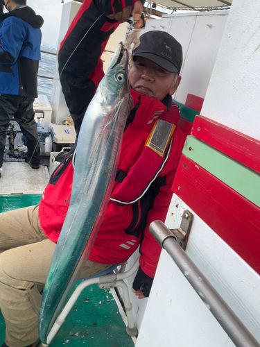 タチウオの釣果