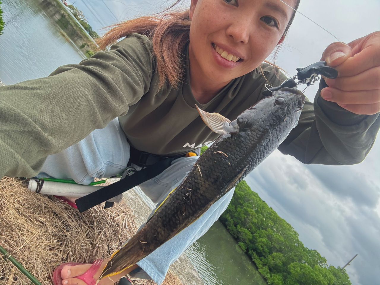 ホシマダラハゼ