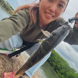 ホシマダラハゼ