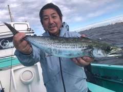 サゴシの釣果
