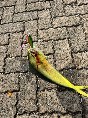 鞠山海遊パーク