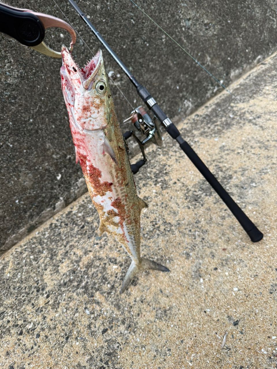 SHIMANO 22ステラ 4000MHGの最安値・インプレ・釣果 | 本音の口コミが