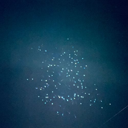 若洲海浜公園海釣り施設