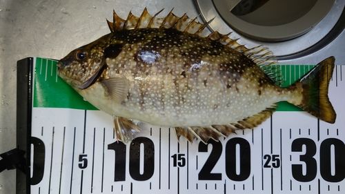 関門海峡（山口）