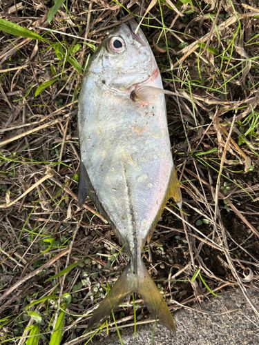 馬入ふれあい公園