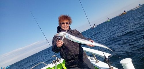 タチウオの釣果