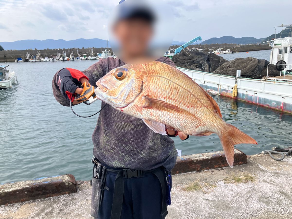 こどもアングラーさんの釣果 2枚目の画像