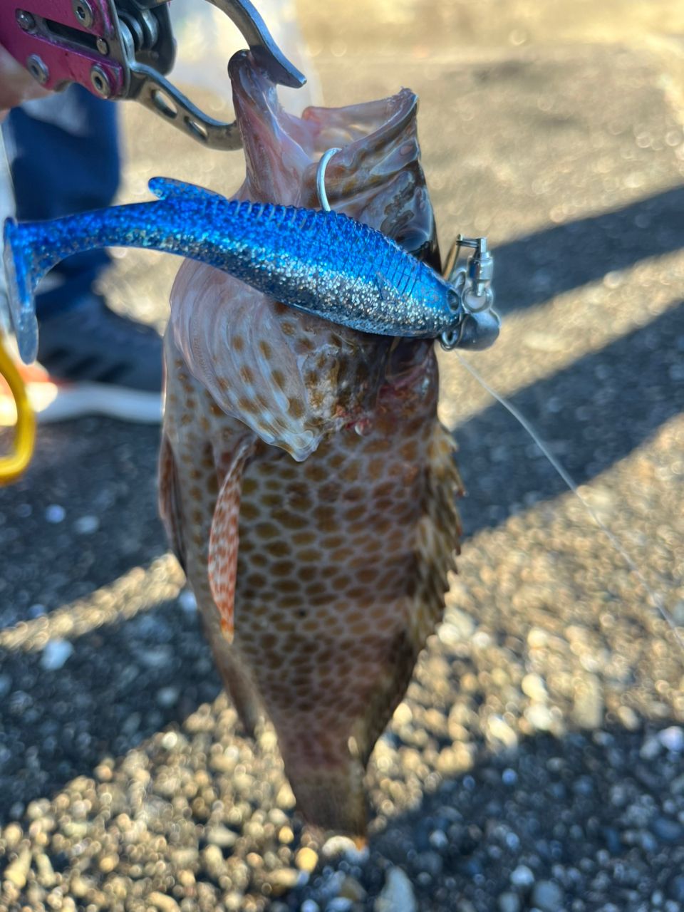 SHIMANO 18ディアルーナ B96Mの最安値・インプレ・釣果 | 本音の口コミ