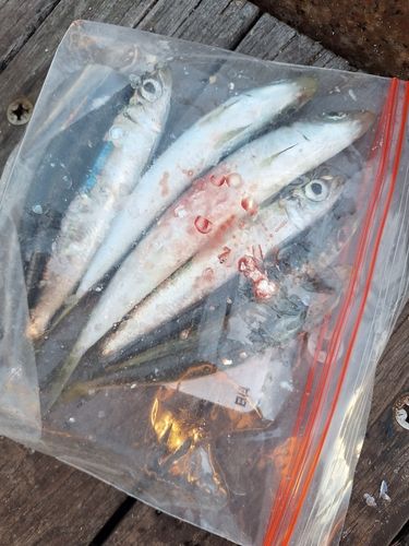 オリンピック記念公園