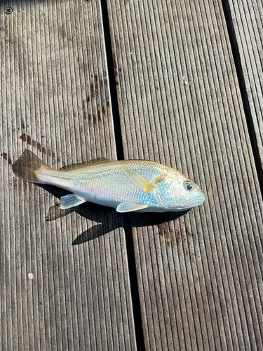 仙台港中央公園