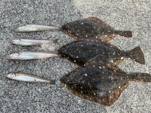 渡波港白灯防波堤