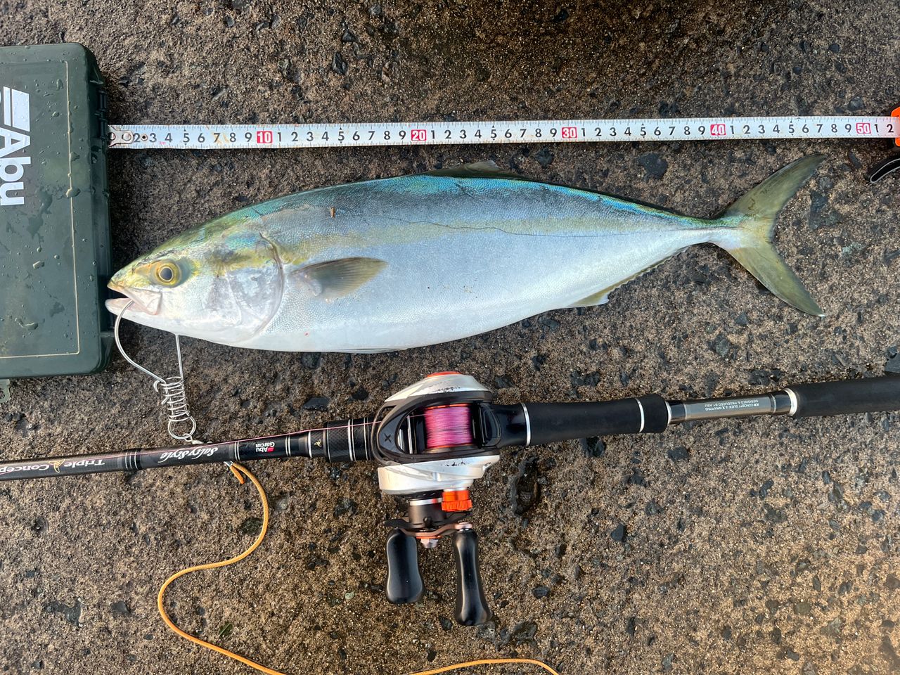 AbuGarcia ソルティスタイル トリプルコンセプトの最安値・インプレ