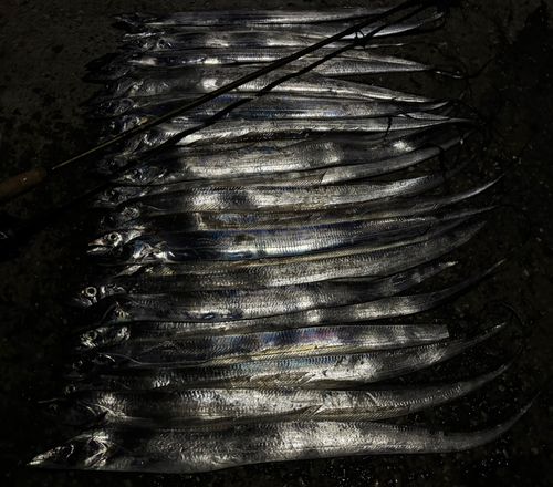 周防大島（屋代島）