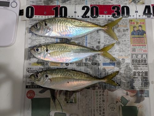 のとじま臨海公園海づりセンター