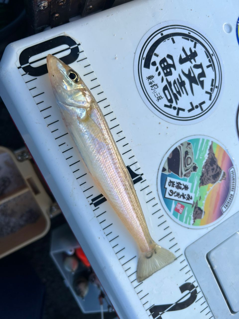 SHIMANO サーフゲイザー〈並継〉 425CXの最安値・インプレ・釣果