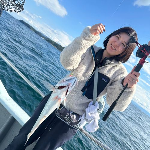 クログチの釣果