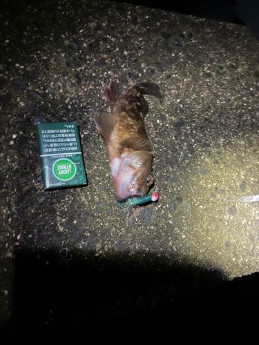 東部浄化センター（広島市）