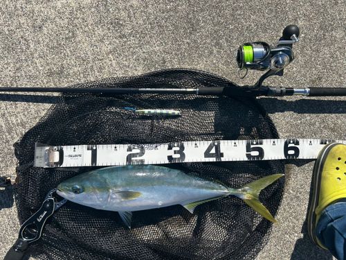 三陸海岸（岩手）