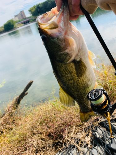 淀川天野川合流