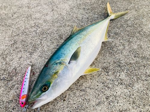 三陸海岸（宮城）