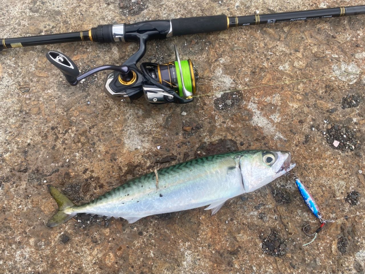 DAIWA 21シーバスハンター X 106M・Rの最安値・インプレ・釣果 | 本音