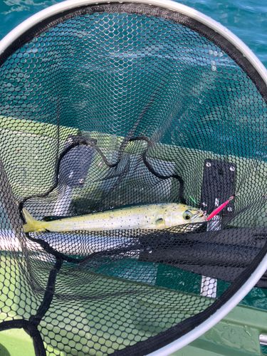 鞠山海遊パーク