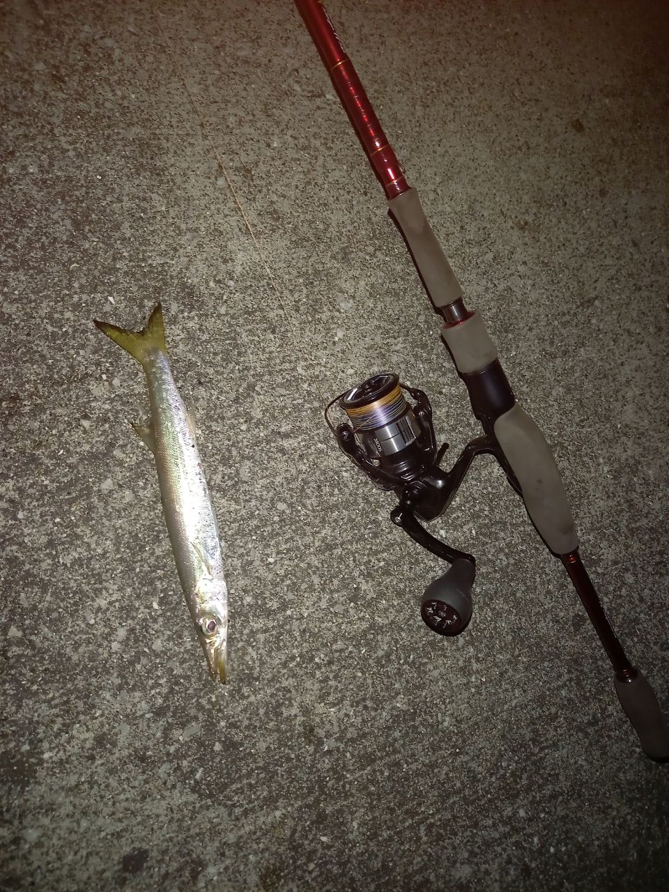 DAIWA 13ハートランド AGS 772MFS-SV AGS17の最安値・インプレ・釣果