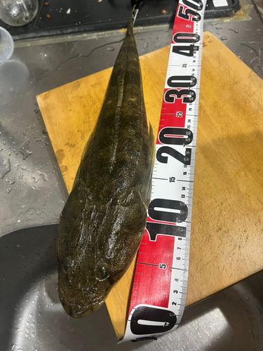 新舞子マリンパーク