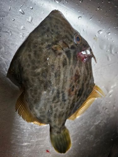 うみかぜ公園付近