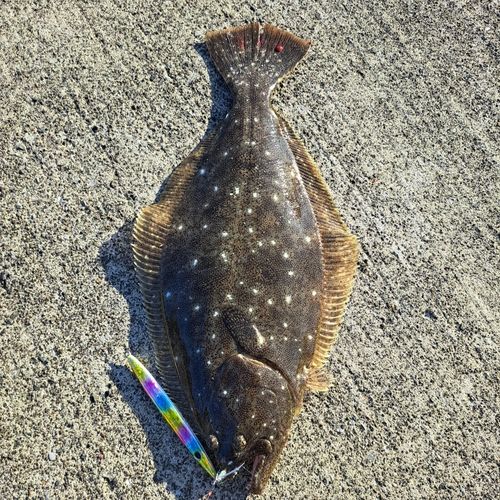 三陸海岸（岩手）