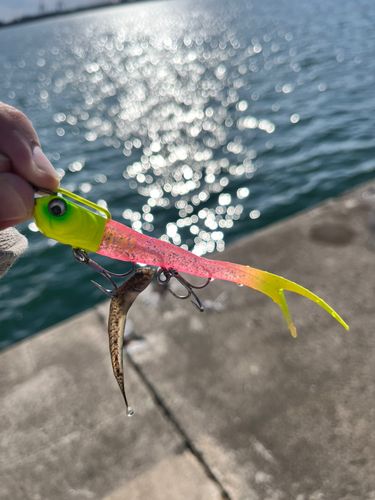 秋田火力発電所前