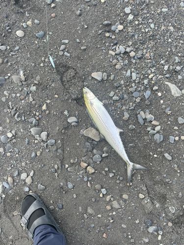 大浜海岸（静岡）