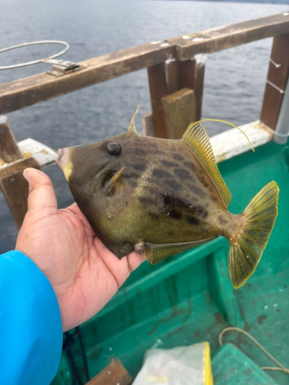 detakaさんの釣果 2枚目の画像