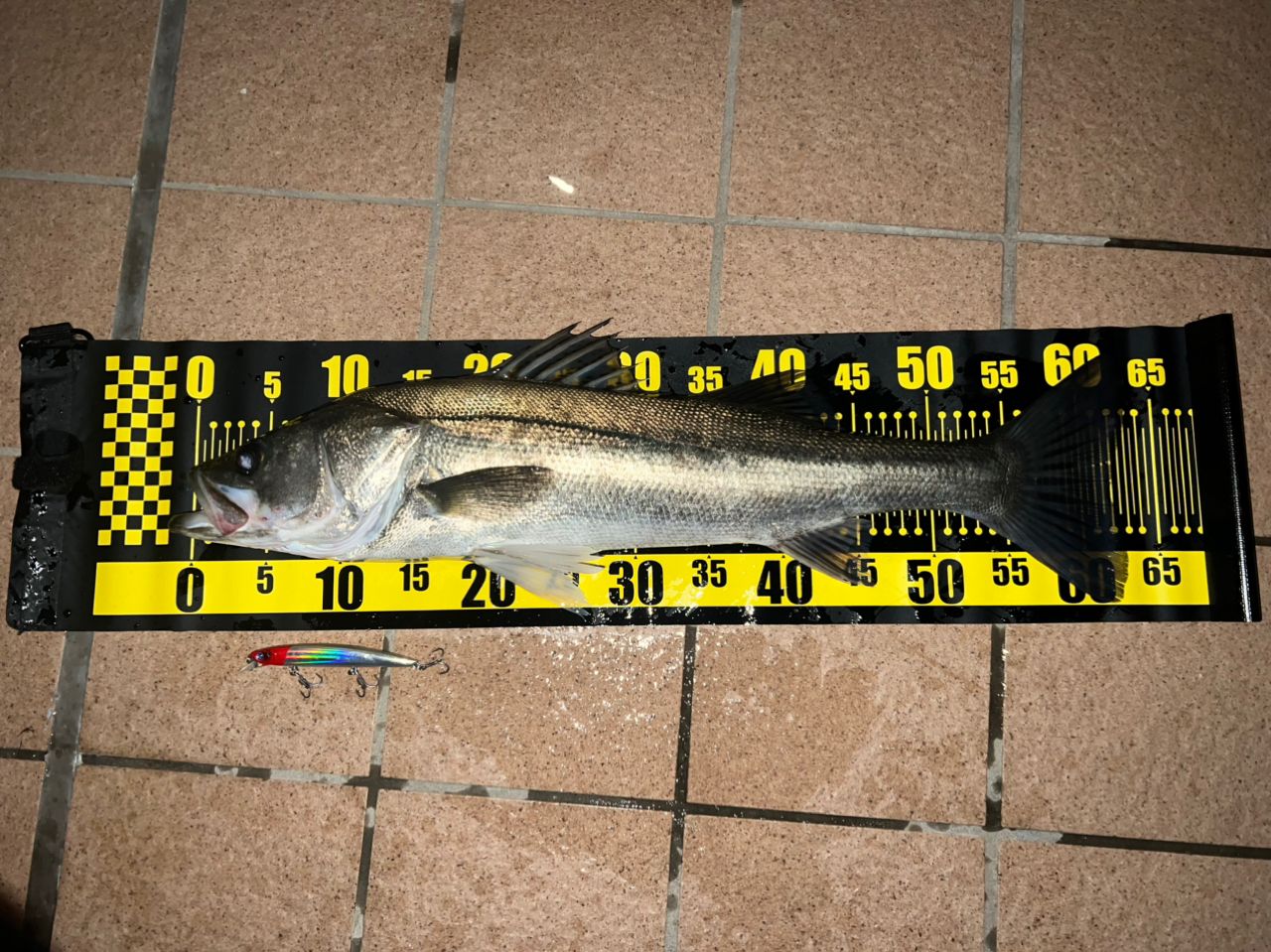 DAIWA 20HRF® PE スペシャル 8.1L-TWの最安値・インプレ・釣果 | 本音