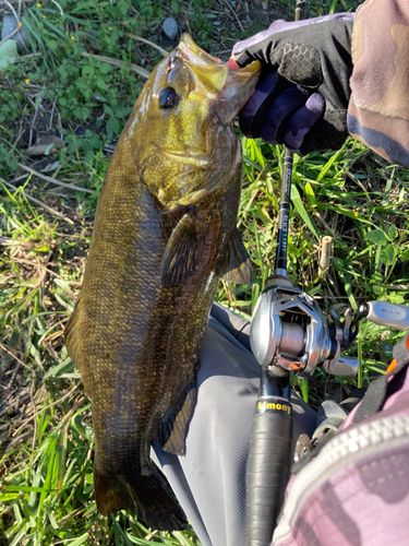 利根川渡良瀬川合流