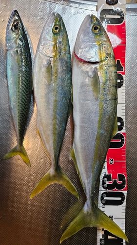 秋田火力発電所前