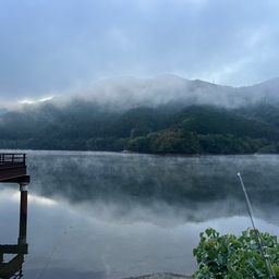 ラージマウスバス