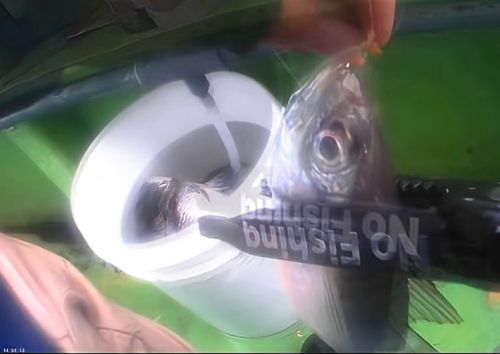 東京湾（アクアライン〜富津）