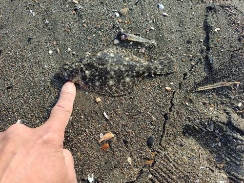 新舞子海岸（富津）