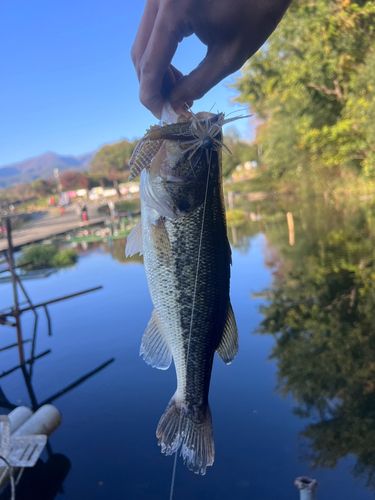 宮城アングラーズヴィレッジ