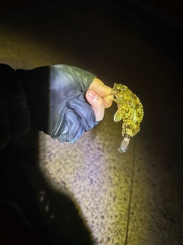 白子漁港（三重）